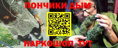 крисы Бийск