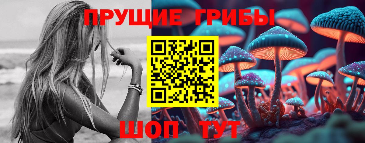 Псилоцибиновые грибы Cubensis Бузулук