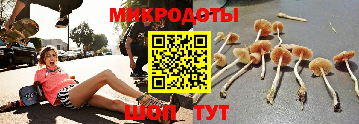 Галлюциногенные грибы Cubensis  Вход с VPN  Бузулук 